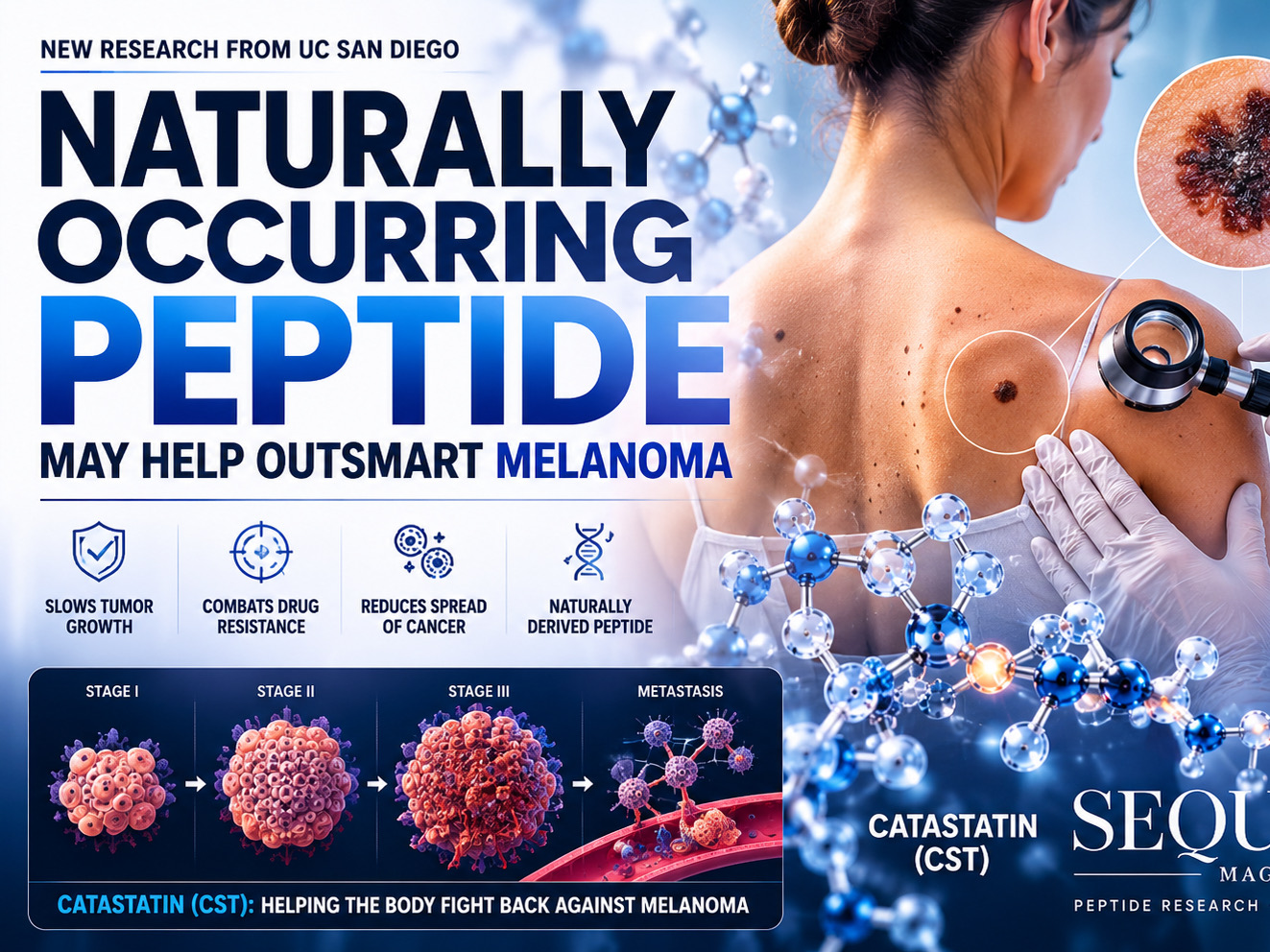 Naturally Occurring Peptide Shows Promise in Melanoma Research